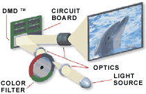 Dreamgraph